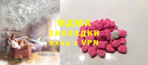 шишки Бородино