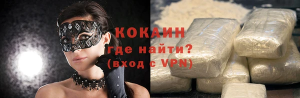 шишки Бородино