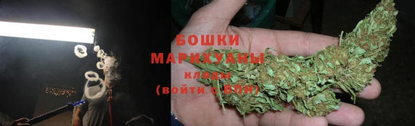 тгк Бронницы