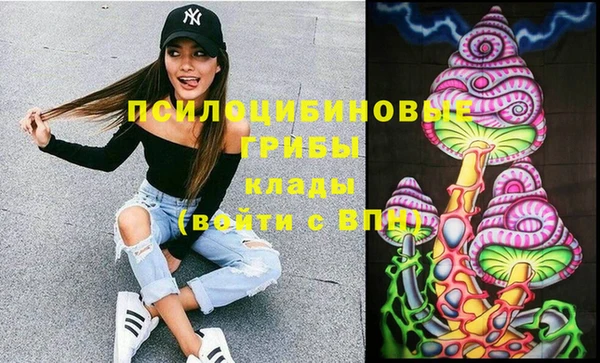 шишки Бородино