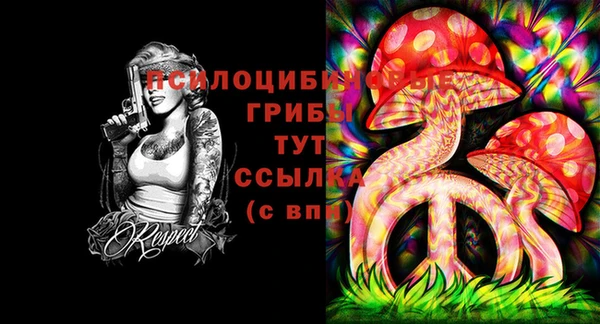шишки Бородино