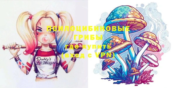 шишки Бородино