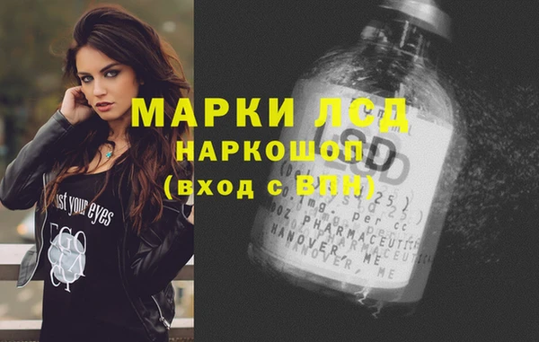 шишки Бородино