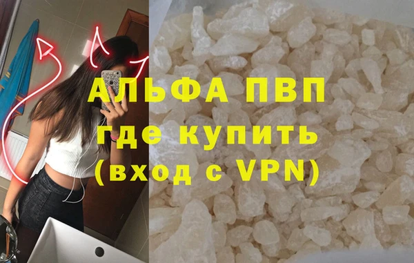 шишки Бородино